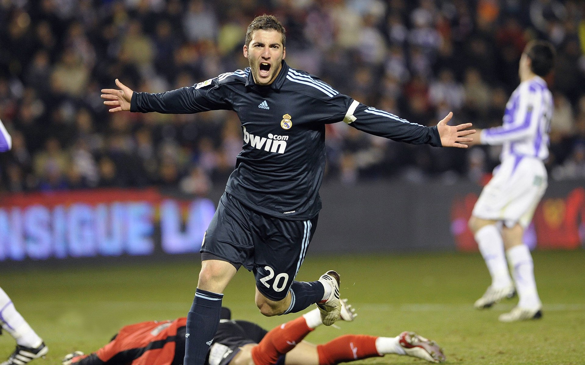 国王跨过猛龙尸骸,解锁的竟是王朝密码?